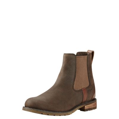 Ariat Wexford - Enkel Laarzen Koffie Dames - 39698-041